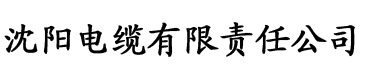 午夜影院播放版电缆厂logo